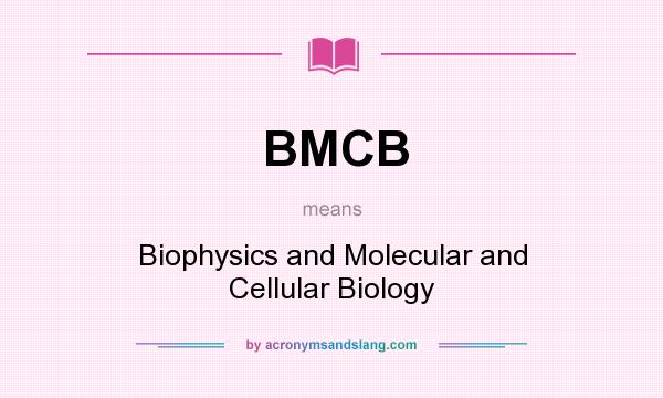 What does BMCB mean? It stands for Biophysics and Molecular and Cellular Biology