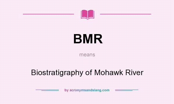 What does BMR mean? It stands for Biostratigraphy of Mohawk River
