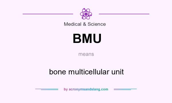 What does BMU mean? It stands for bone multicellular unit
