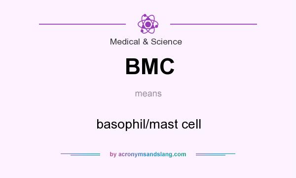What does BMC mean? It stands for basophil/mast cell