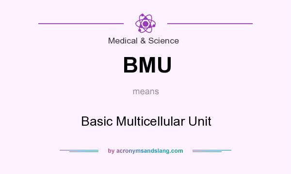 What does BMU mean? It stands for Basic Multicellular Unit