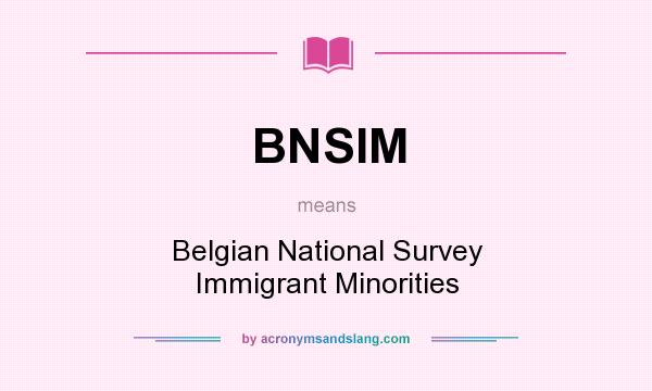 What does BNSIM mean? It stands for Belgian National Survey Immigrant Minorities