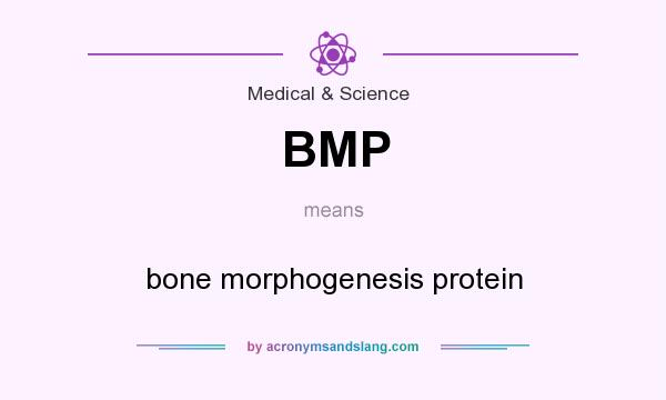 What does BMP mean? It stands for bone morphogenesis protein