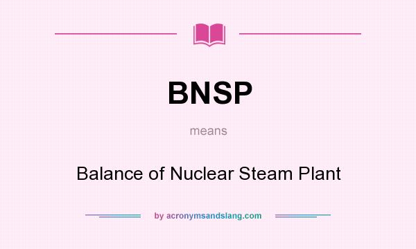 What does BNSP mean? It stands for Balance of Nuclear Steam Plant