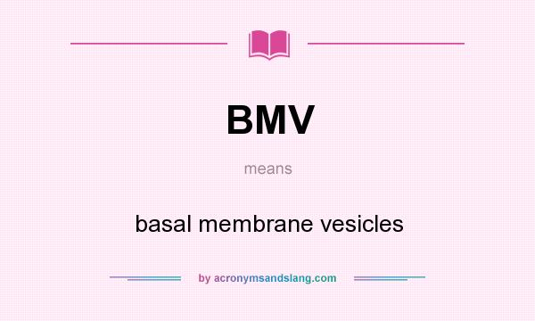 What does BMV mean? It stands for basal membrane vesicles