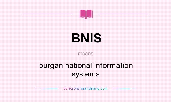 What does BNIS mean? It stands for burgan national information systems