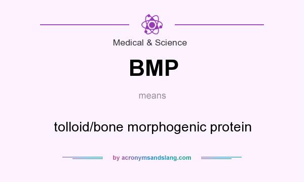 What does BMP mean? It stands for tolloid/bone morphogenic protein