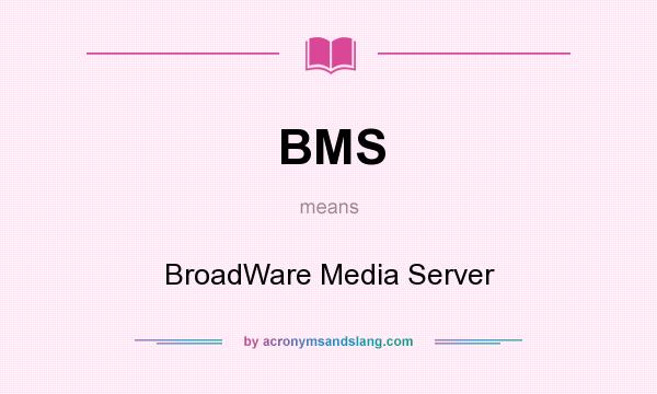 What does BMS mean? It stands for BroadWare Media Server
