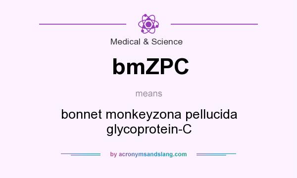 What does bmZPC mean? It stands for bonnet monkeyzona pellucida glycoprotein-C