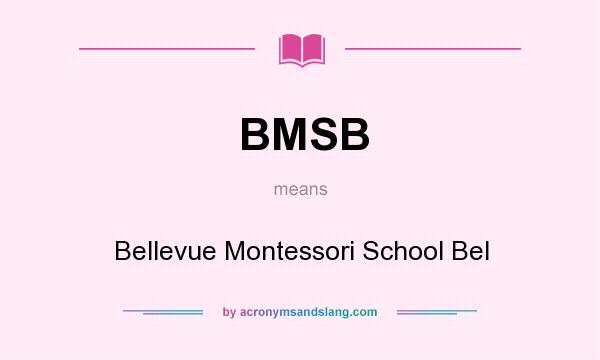 What does BMSB mean? It stands for Bellevue Montessori School Bel