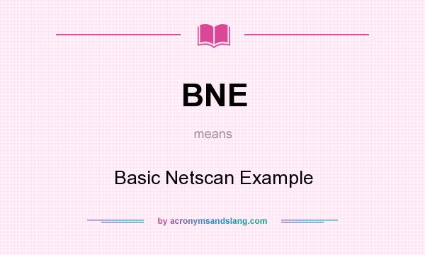 What does BNE mean? It stands for Basic Netscan Example