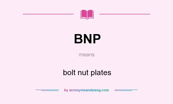 What does BNP mean? It stands for bolt nut plates