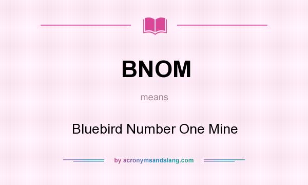 What does BNOM mean? It stands for Bluebird Number One Mine