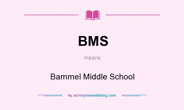 What does BMS mean? It stands for Bammel Middle School