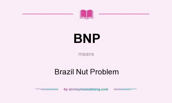 What does BNP mean? It stands for Brazil Nut Problem