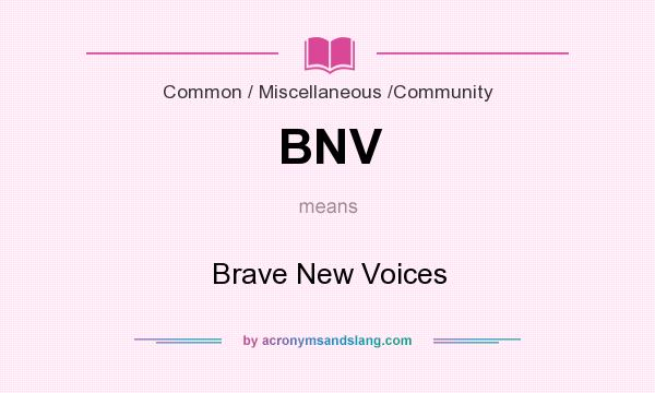 What does BNV mean? It stands for Brave New Voices