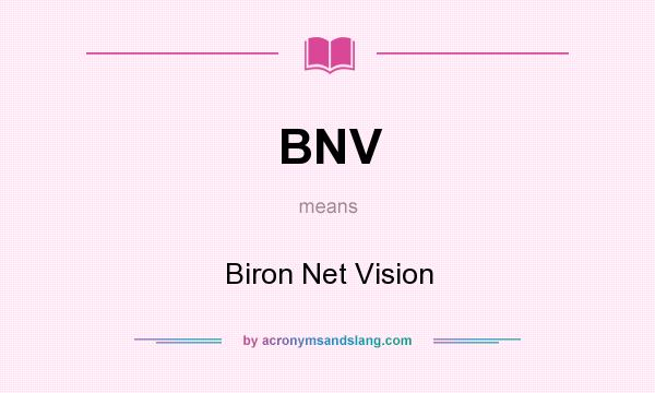 What does BNV mean? It stands for Biron Net Vision