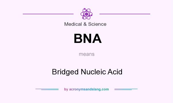 What does BNA mean? It stands for Bridged Nucleic Acid