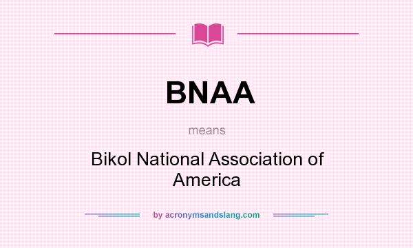 What does BNAA mean? It stands for Bikol National Association of America