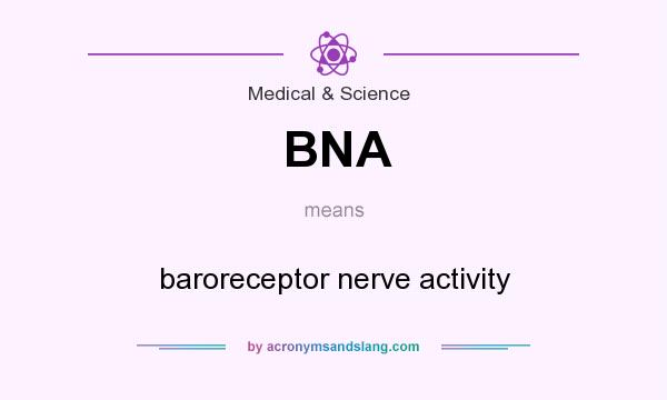 What does BNA mean? It stands for baroreceptor nerve activity