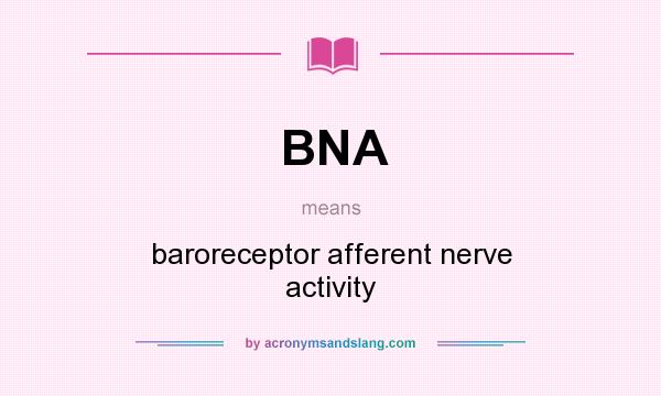 What does BNA mean? It stands for baroreceptor afferent nerve activity