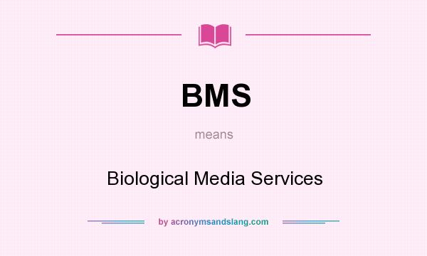 What does BMS mean? It stands for Biological Media Services