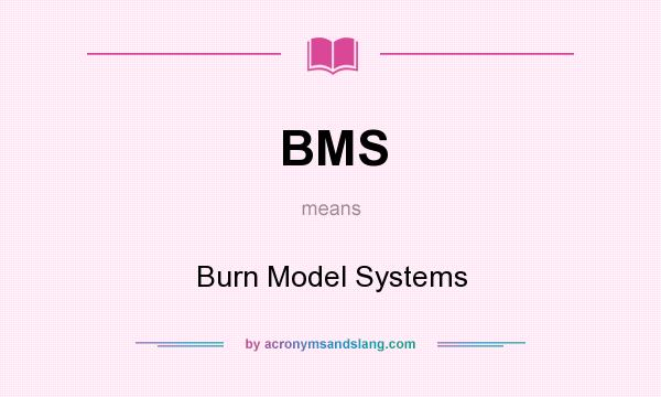 What does BMS mean? It stands for Burn Model Systems