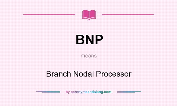 What does BNP mean? It stands for Branch Nodal Processor