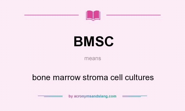 What does BMSC mean? It stands for bone marrow stroma cell cultures