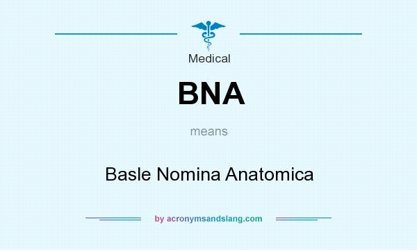 What does BNA mean? It stands for Basle Nomina Anatomica