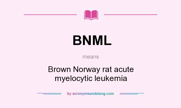 What does BNML mean? It stands for Brown Norway rat acute myelocytic leukemia