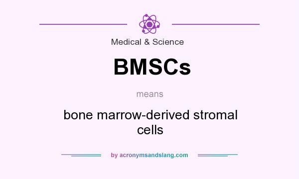 What does BMSCs mean? It stands for bone marrow-derived stromal cells