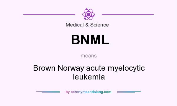 What does BNML mean? It stands for Brown Norway acute myelocytic leukemia