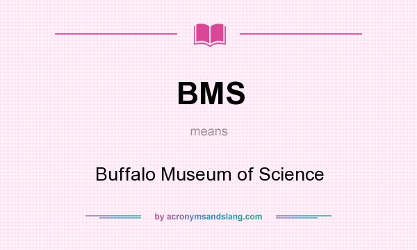 What does BMS mean? It stands for Buffalo Museum of Science