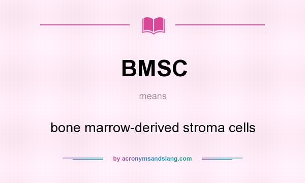 What does BMSC mean? It stands for bone marrow-derived stroma cells