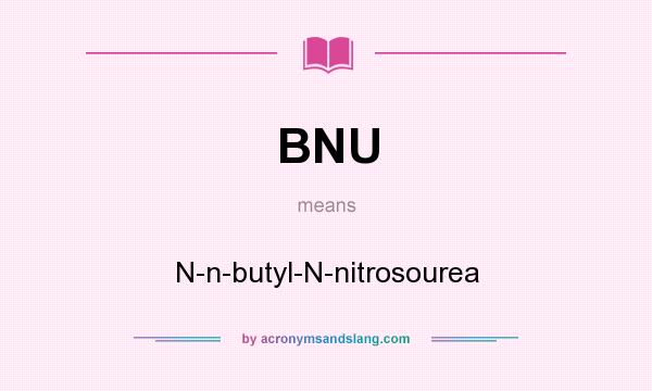 What does BNU mean? It stands for N-n-butyl-N-nitrosourea