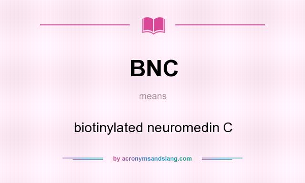 What does BNC mean? It stands for biotinylated neuromedin C