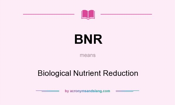 What does BNR mean? It stands for Biological Nutrient Reduction