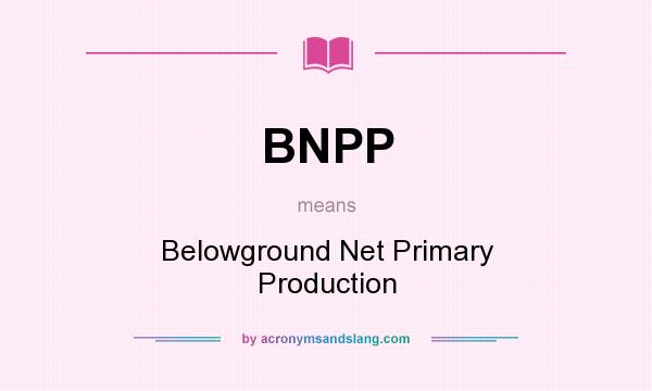 What does BNPP mean? It stands for Belowground Net Primary Production