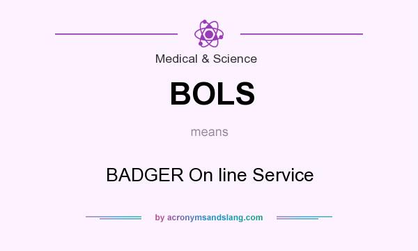 What does BOLS mean? It stands for BADGER On line Service