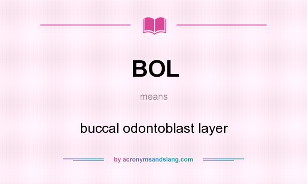 What does BOL mean? It stands for buccal odontoblast layer