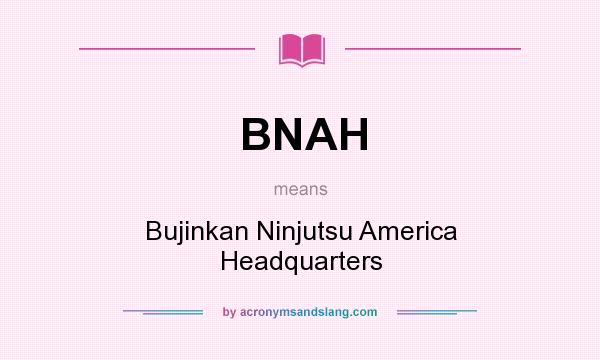 What does BNAH mean? It stands for Bujinkan Ninjutsu America Headquarters