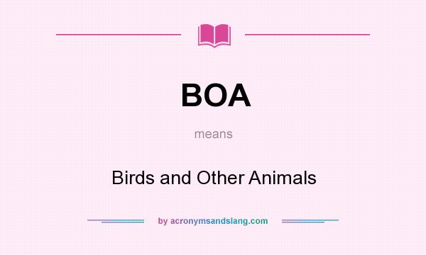 What does BOA mean? It stands for Birds and Other Animals