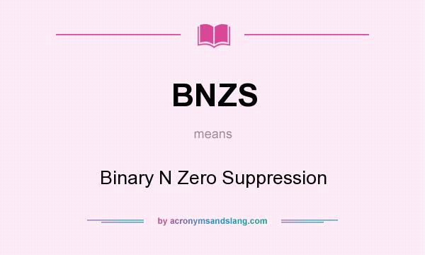 What does BNZS mean? It stands for Binary N Zero Suppression