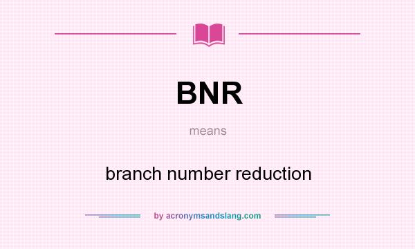 What does BNR mean? It stands for branch number reduction