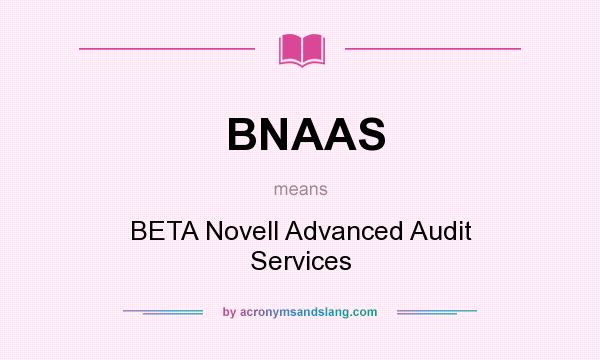 What does BNAAS mean? It stands for BETA Novell Advanced Audit Services