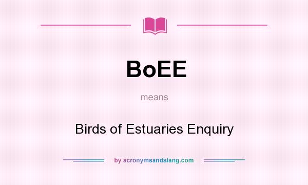What does BoEE mean? It stands for Birds of Estuaries Enquiry