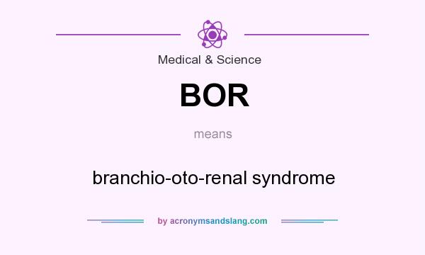 What does BOR mean? It stands for branchio-oto-renal syndrome