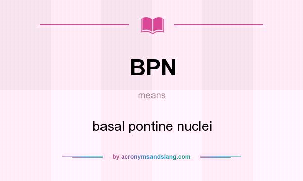 What does BPN mean? It stands for basal pontine nuclei