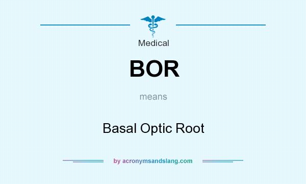 What does BOR mean? It stands for Basal Optic Root